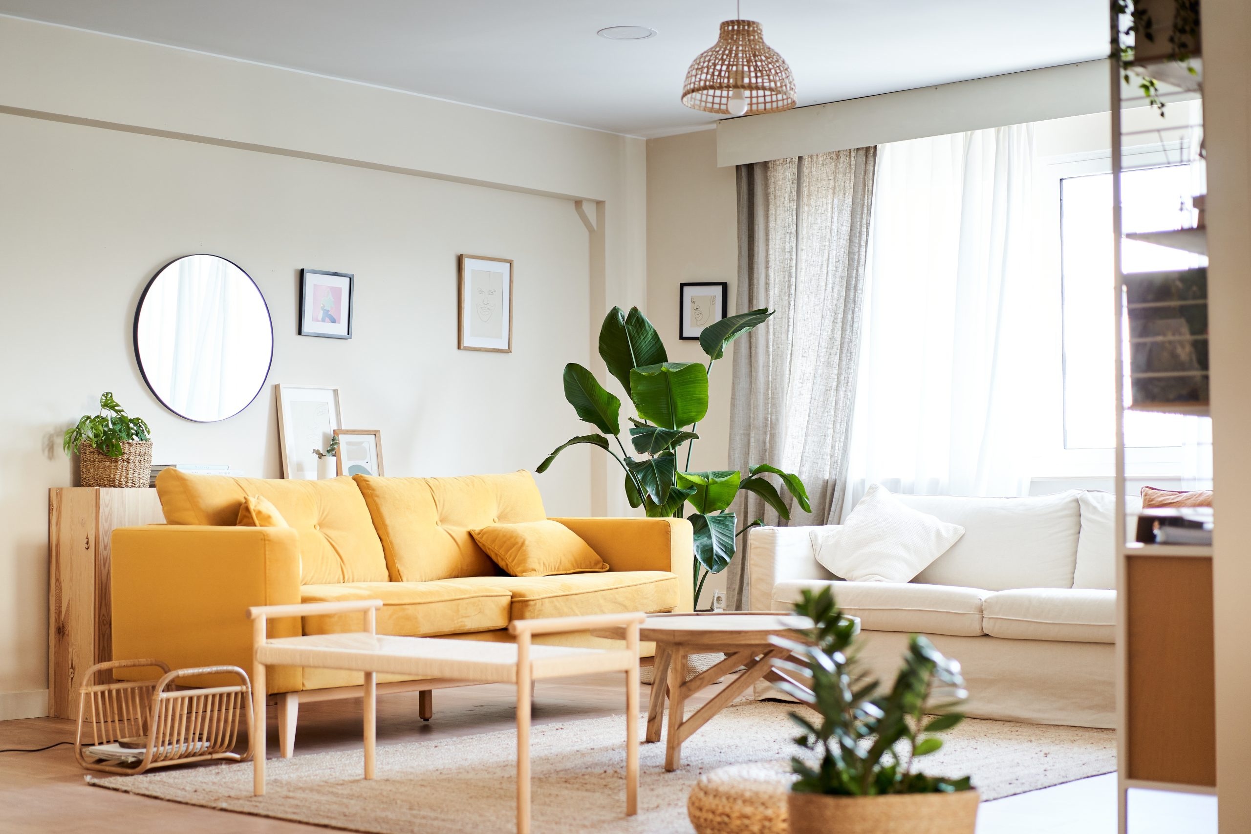 Adelaide interior Painting